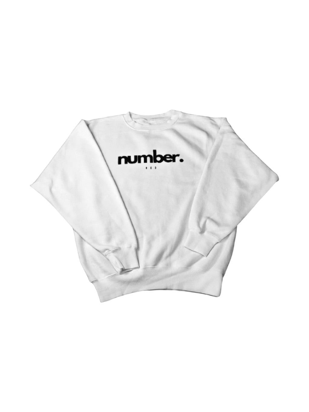 NR Oversized Printed Crewneck